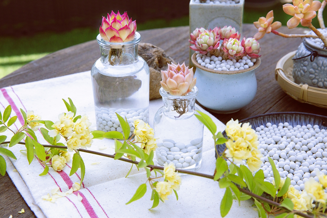 土壤植料-产品摄影（图ZMzU5OTYyMjc2） - 产品摄影 - 站酷设计师Pazza大安原创素材 - 站酷ZCOOL