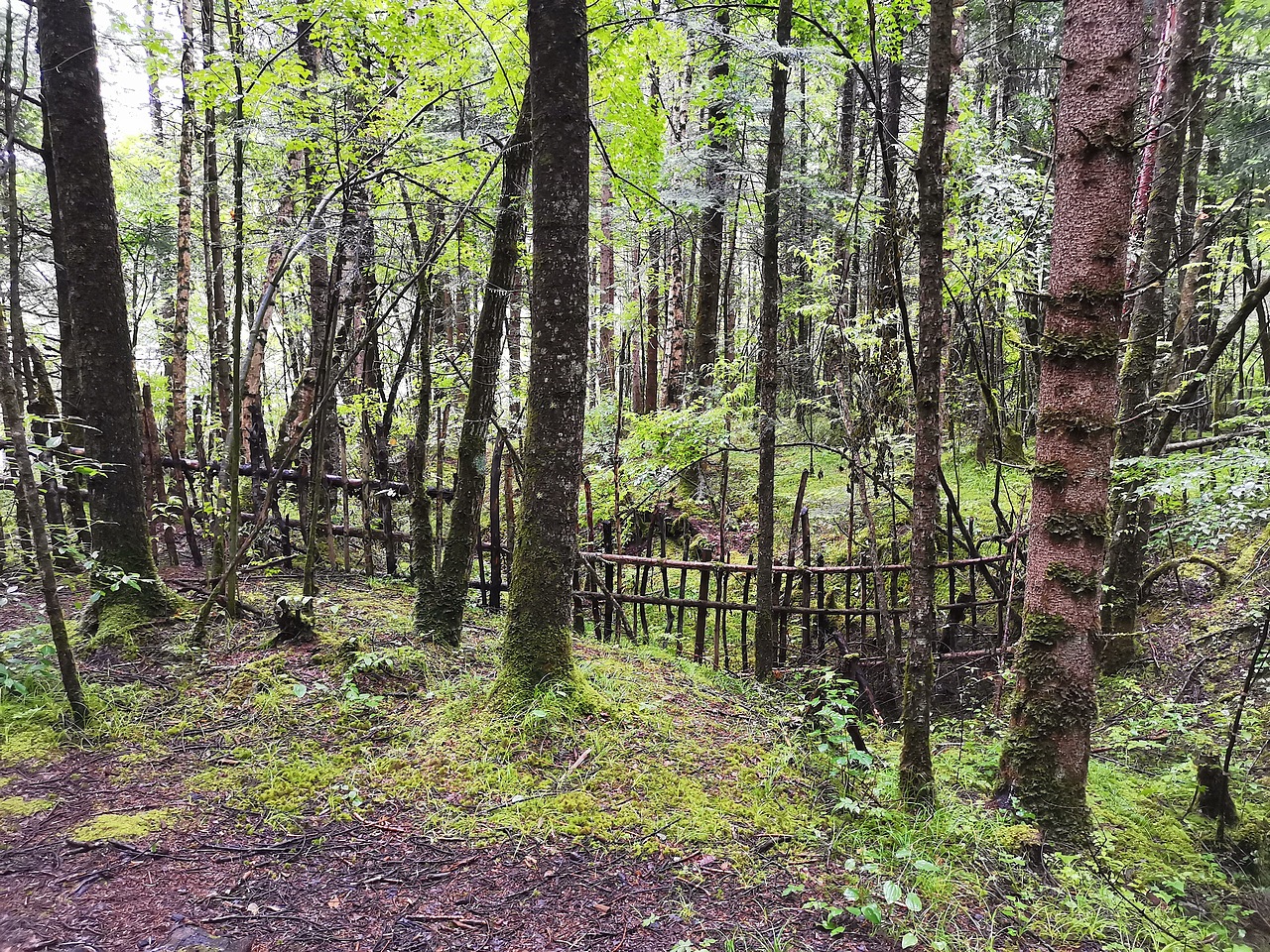 五彩缤纷九寨沟（上）