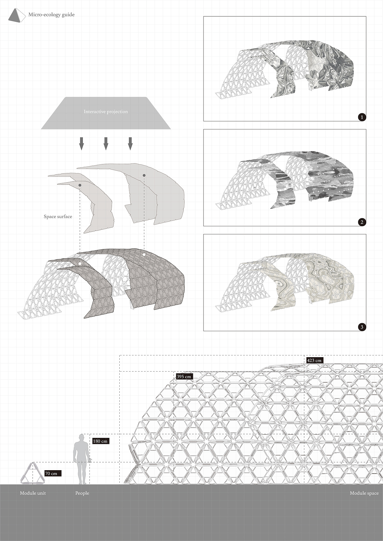 #2022青春答卷#微生态指南 Micro-ecology guide