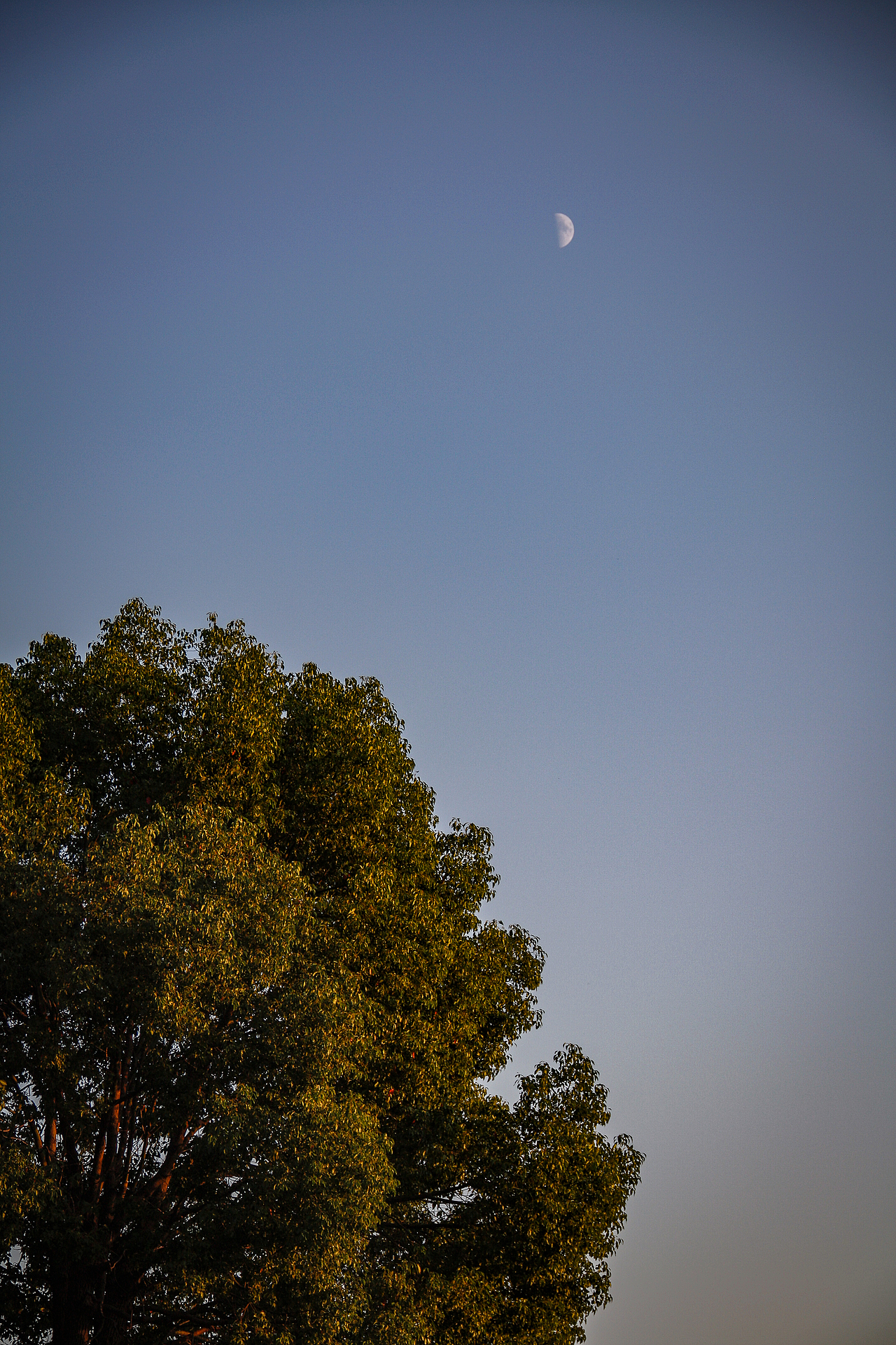 【建筑景观】—— 香山寺景区