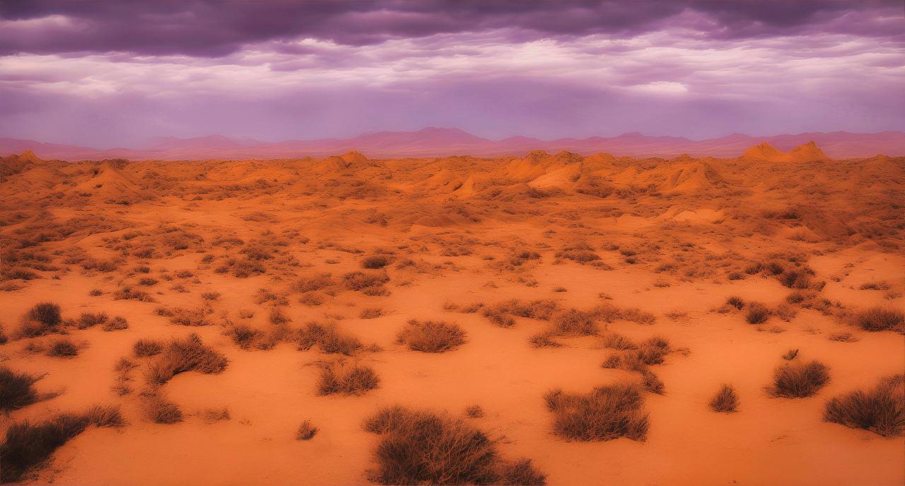 夕阳下美丽的戈壁沙漠