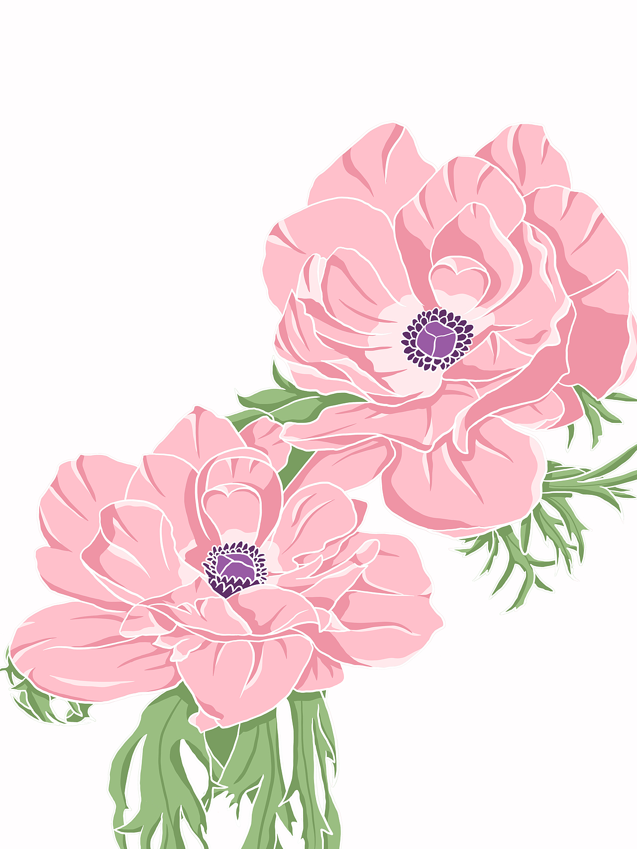 花與貓系列《銀蓮花》（圖ZMzQ1MTMxMTg4） - 藝術(shù)插畫 - 站酷設(shè)計師NIKKIZHANG原創(chuàng)素材 - 站酷ZCOOL