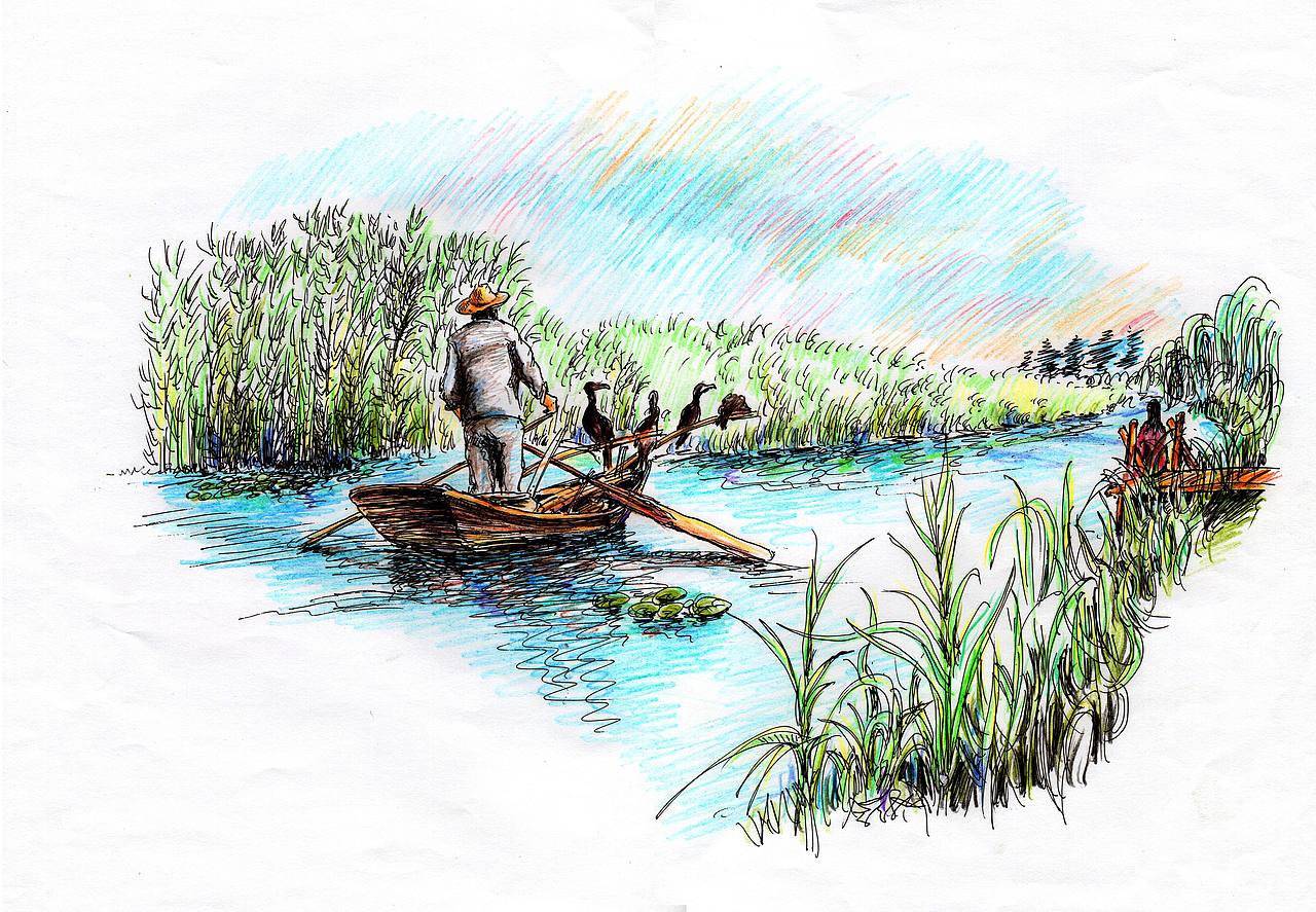 济宁湿地-2018年的稿