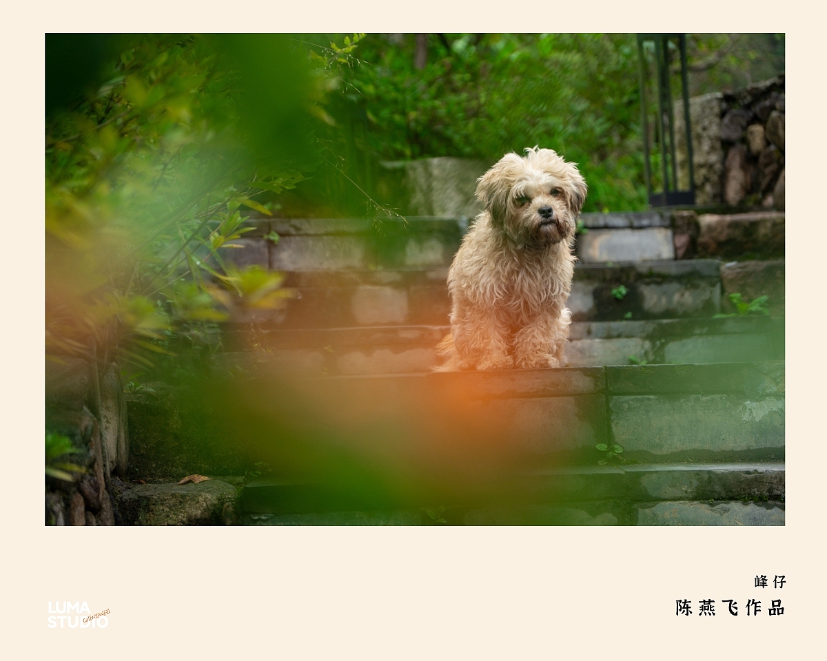 解密~收1万5的纪实摄影怎么创作出来的?杭州美食摄影