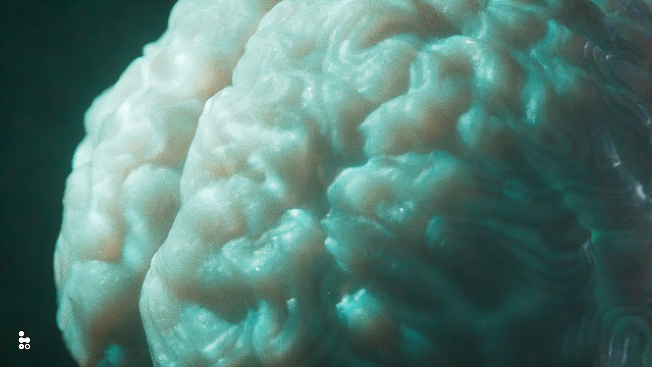 脑新生 动态设计（图ZMzE1MTEzODQw） - 人物/生物 - 站酷设计师omoolab原创素材 - 站酷ZCOOL