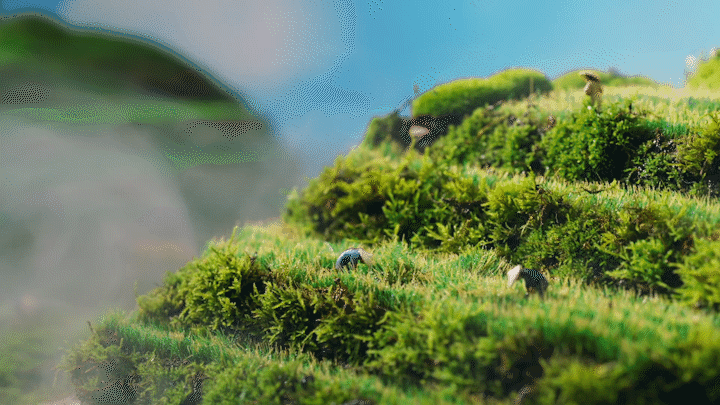 电商视频丨三生泽谷有机大米 ✖ 0574摄影基地（图ZMzEyMTc5NTE2） - 短片 - 站酷设计师0574摄影基地原创素材 - 站酷ZCOOL