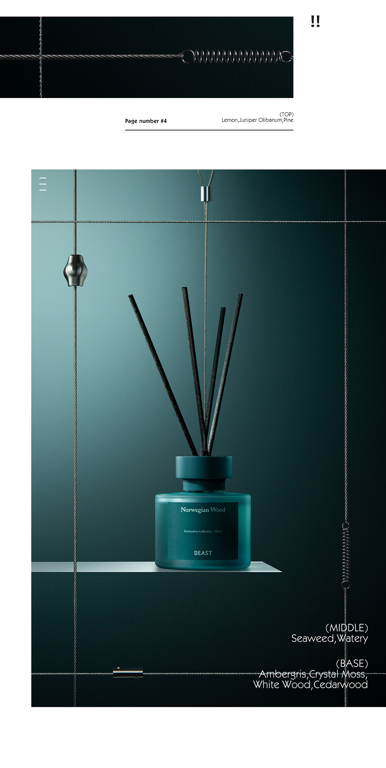 香氛摄影丨野兽派