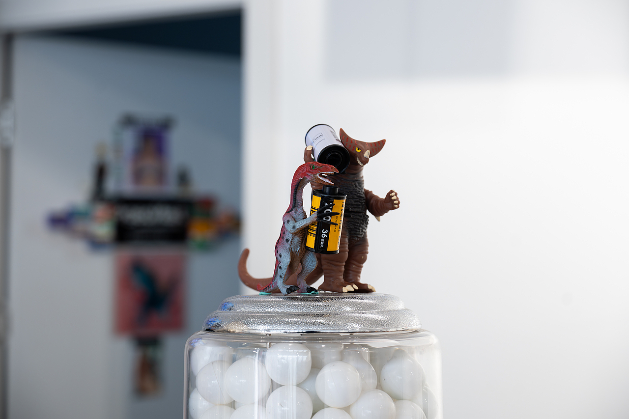 使用 SONY A7M4 搭配 SONY FE20-70mm F4 G 拍摄