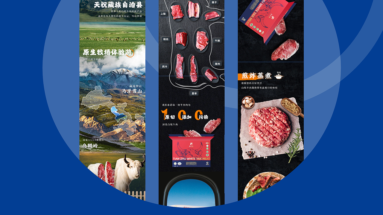 白小哞-天祝白牦牛项目