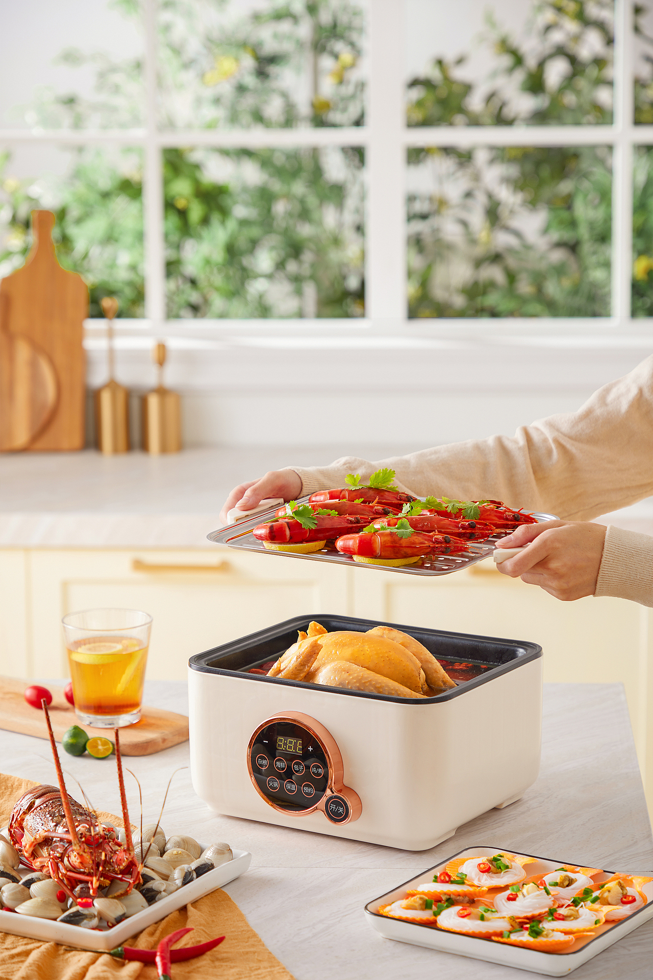 产品拍摄-小家电-电蒸锅