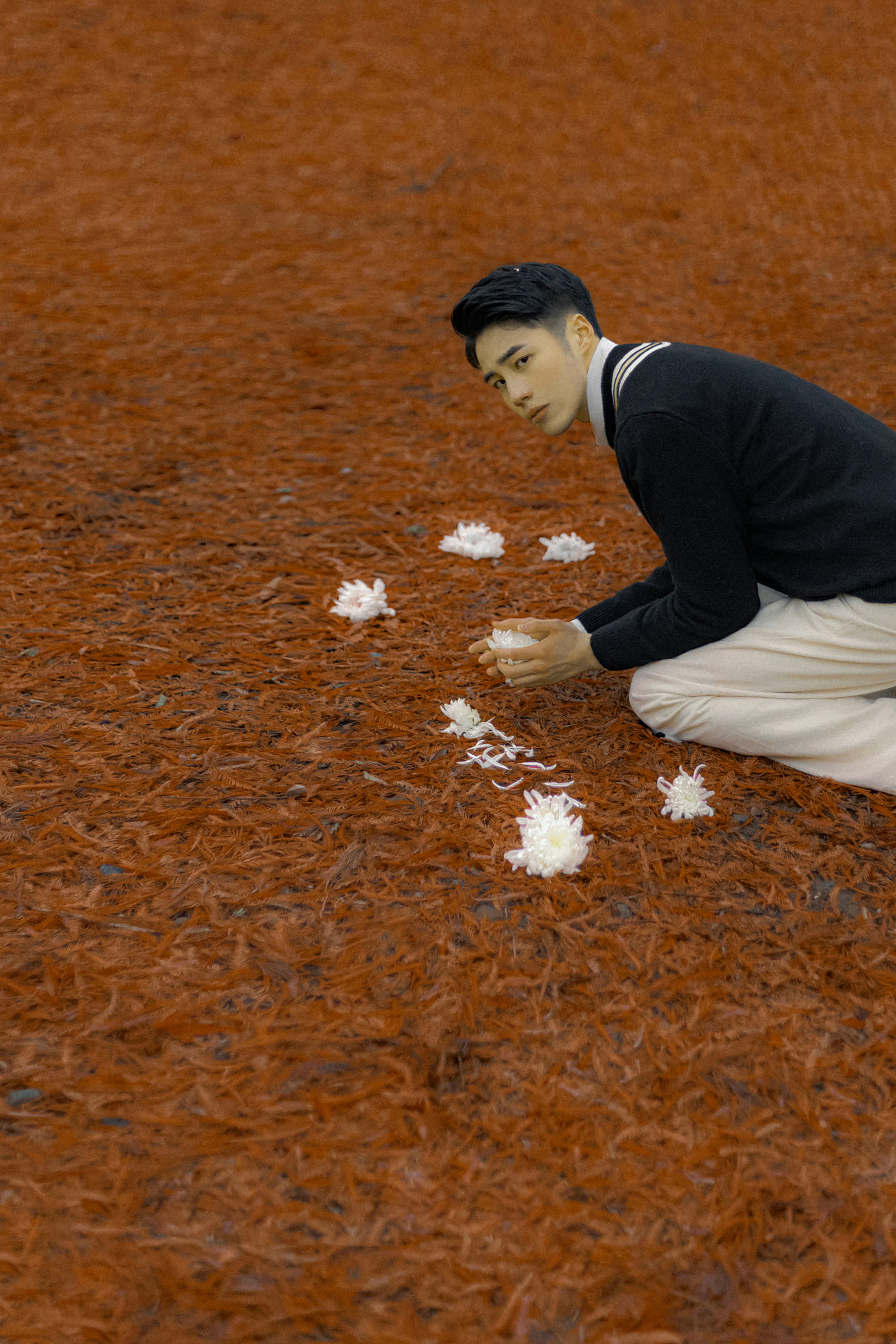 花蕊·白菊chrysanthemum（图ZMzA1ODMxODk2） - 人像摄影 - 站酷设计师陈研志原创素材 - 站酷ZCOOL