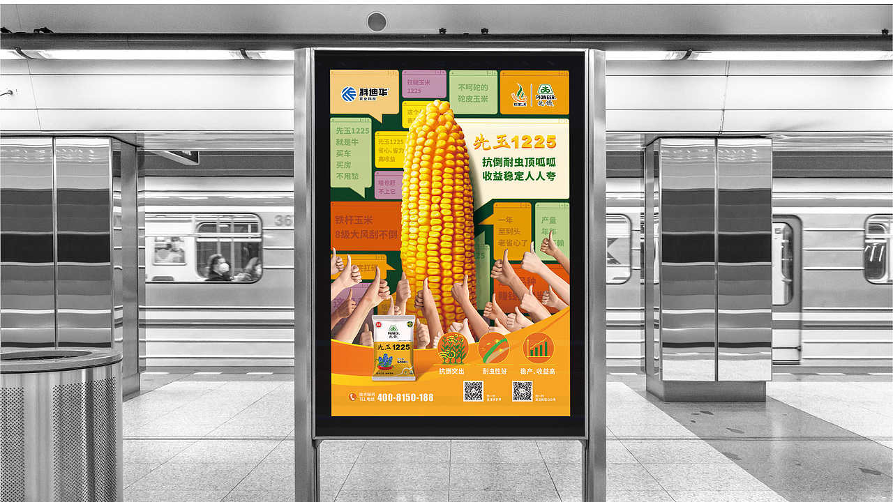 农业\玉米种业\先锋品牌\产品海报设计项目（图ZMzE3MTI2NDU2） - 海报 - 站酷设计师红微原创素材 - 站酷ZCOOL