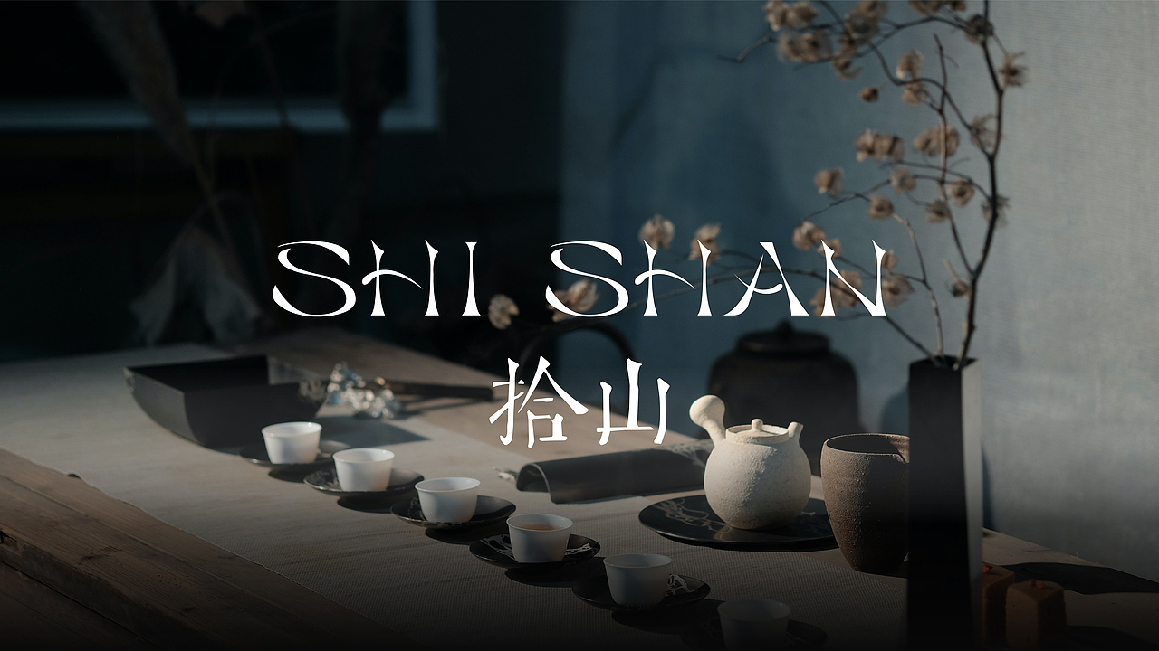 拾山SHISHAN|茶品牌vi 包装设计