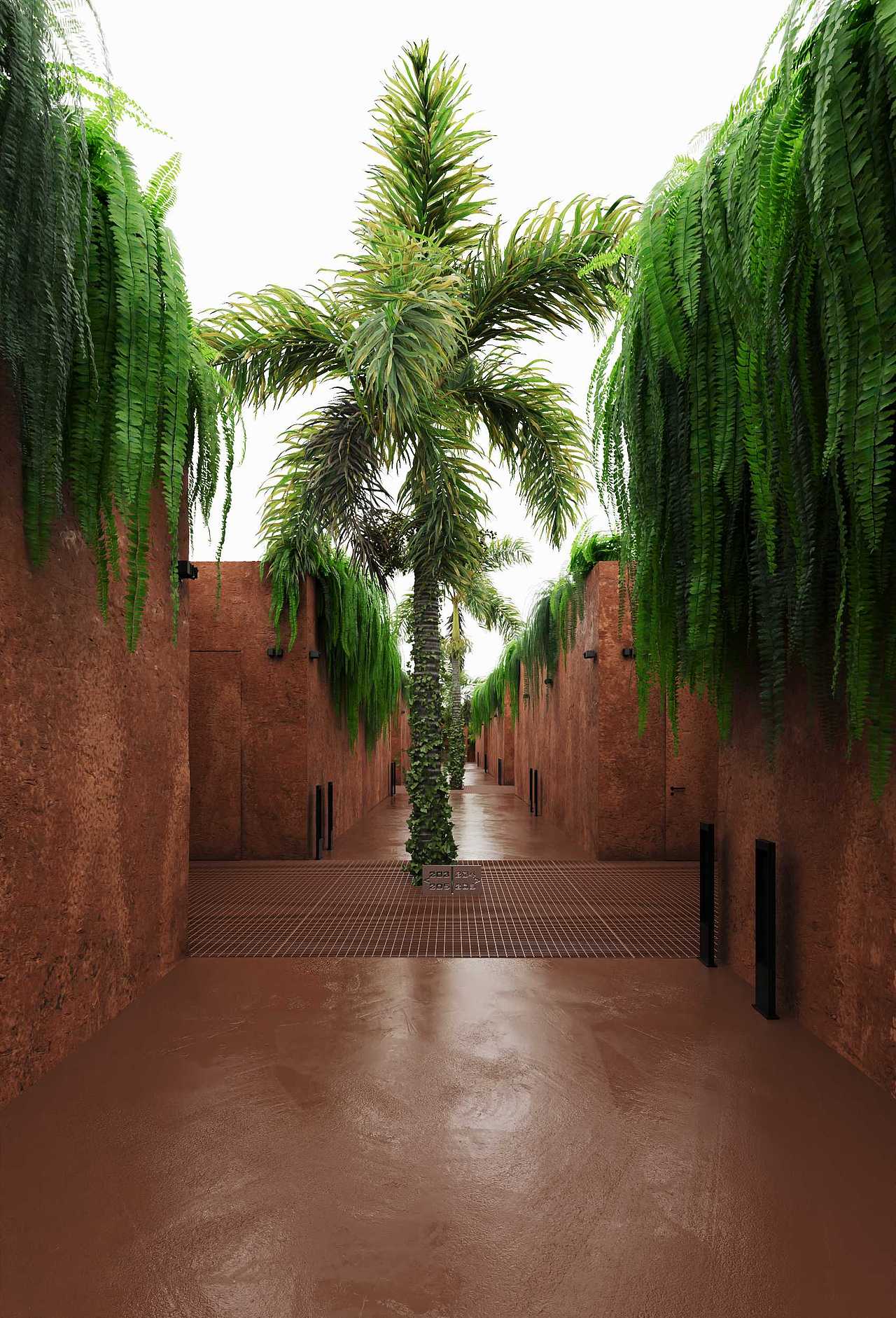 藏身在雨林的餐廳
