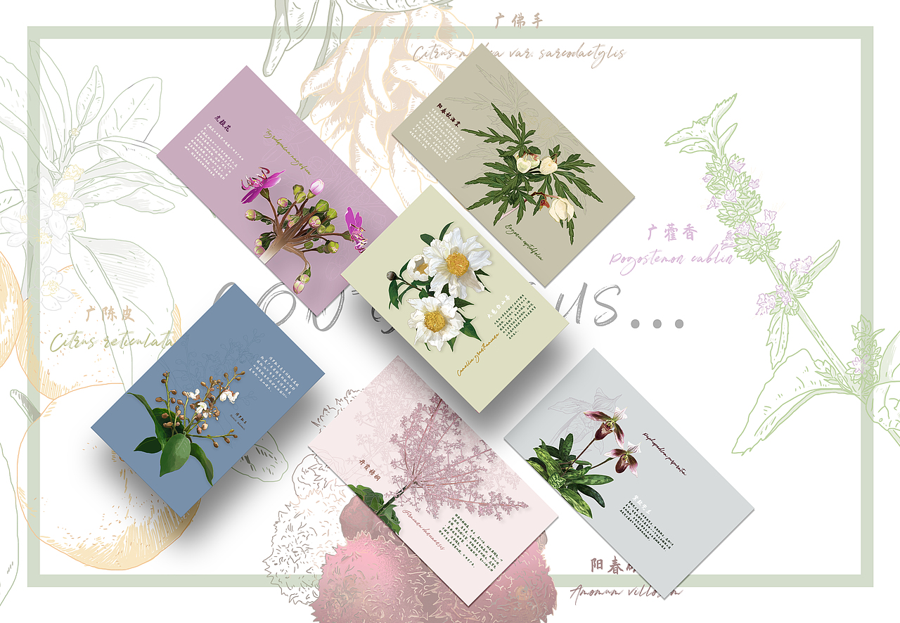 2021年珍稀植物花卉合辑（图ZMzA4NTczMDQ4） - 商业插画 - 站酷设计师懒九五原创素材 - 站酷ZCOOL