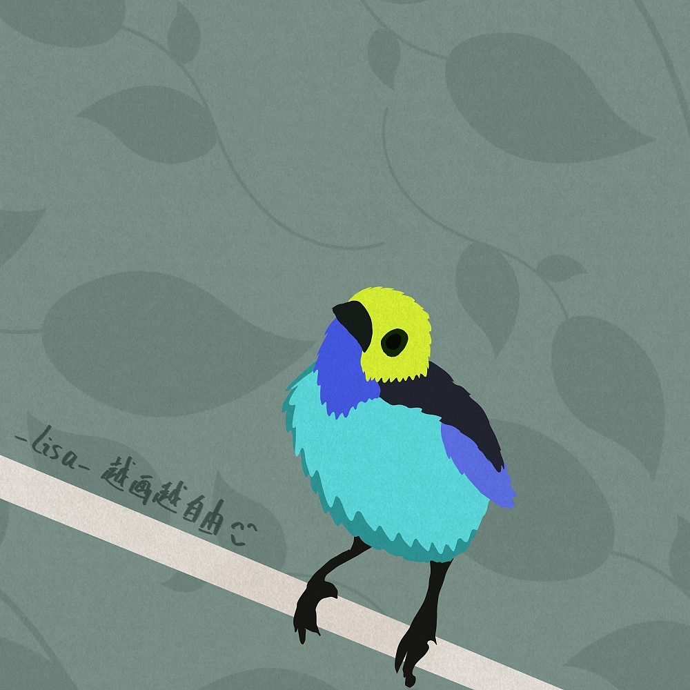 自由插画师可以为世界做些什么—81只鸟作品集