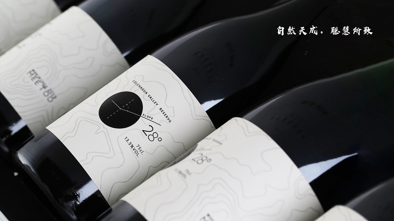 T.D.P案例丨智利28°葡萄酒包装设计