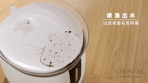 宠物饮水机 | 迪米兜 | 电商摄影 | 宠叔叔传媒