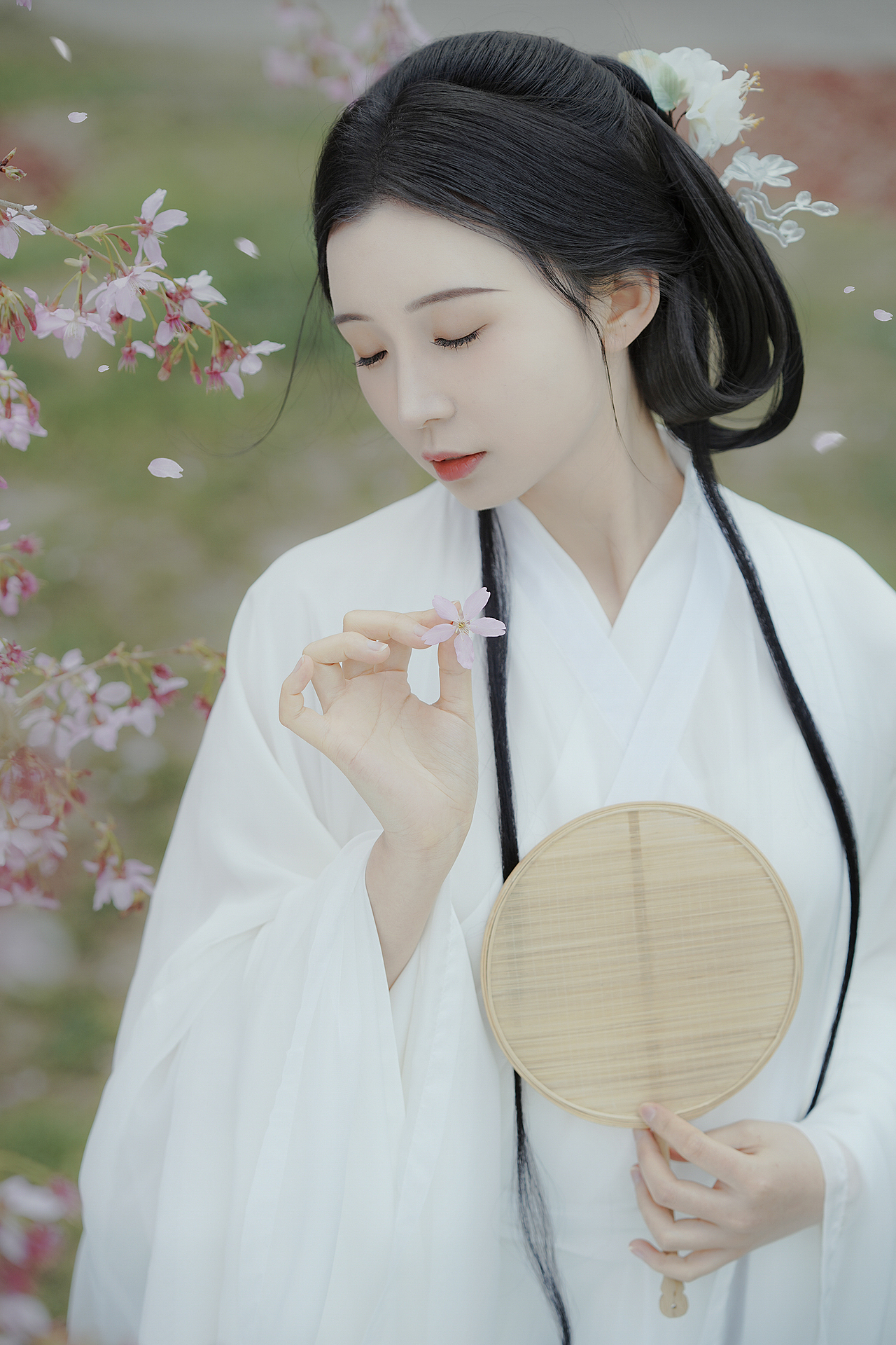 春日宴 魏晋樱花汉服写真