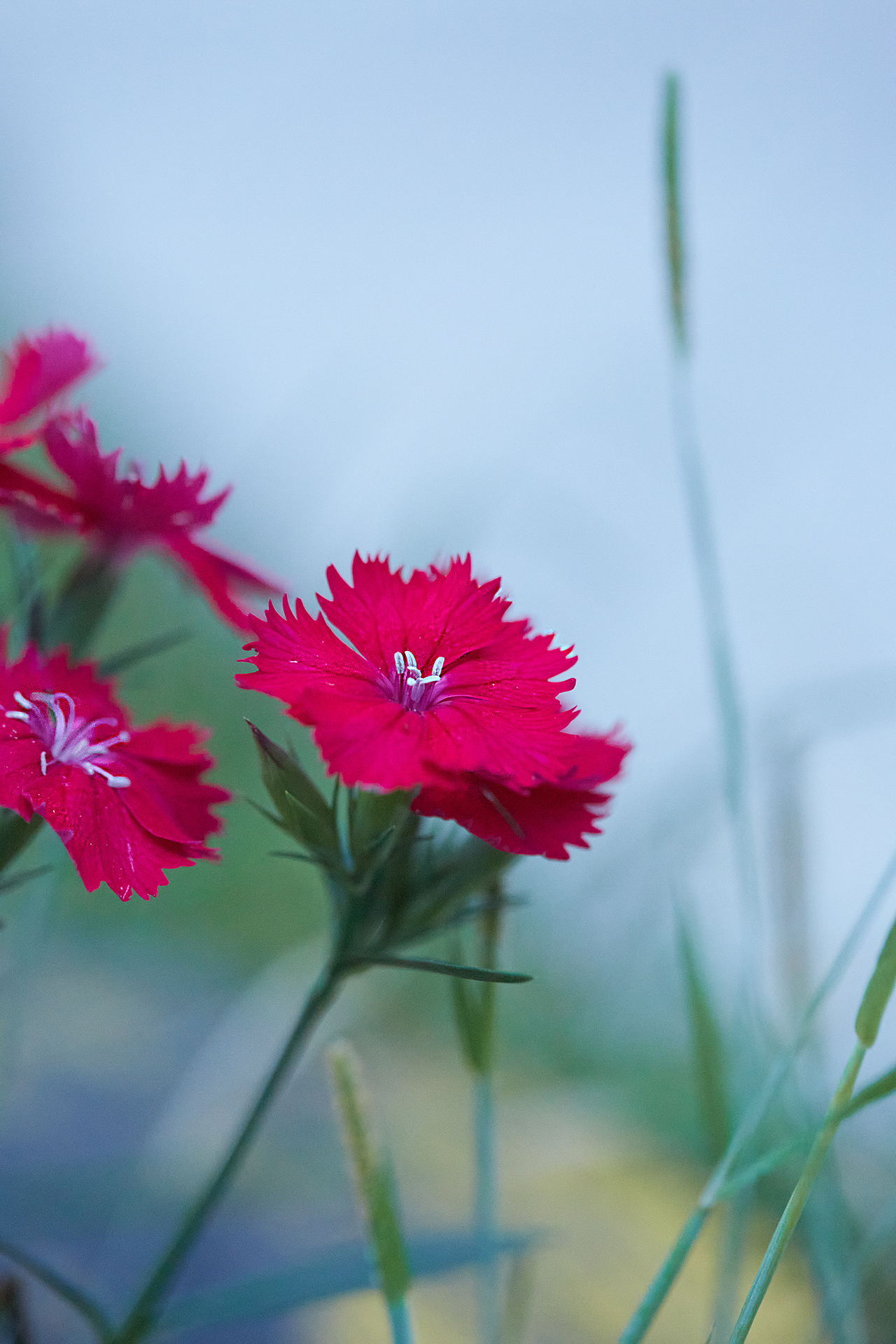 20220508试镜百微