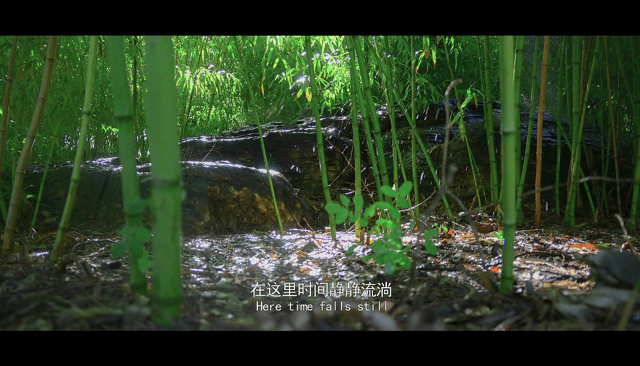 《把生活拍成电影》（图ZMzUzMjUzMTky） - 人文/纪实摄影 - 站酷设计师张春悦原创素材 - 站酷ZCOOL
