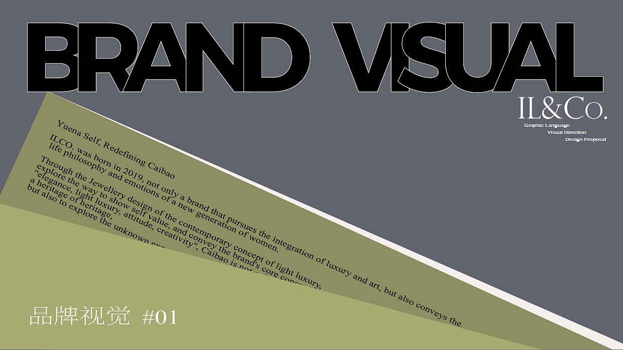 项目总结 VI视觉识别升级