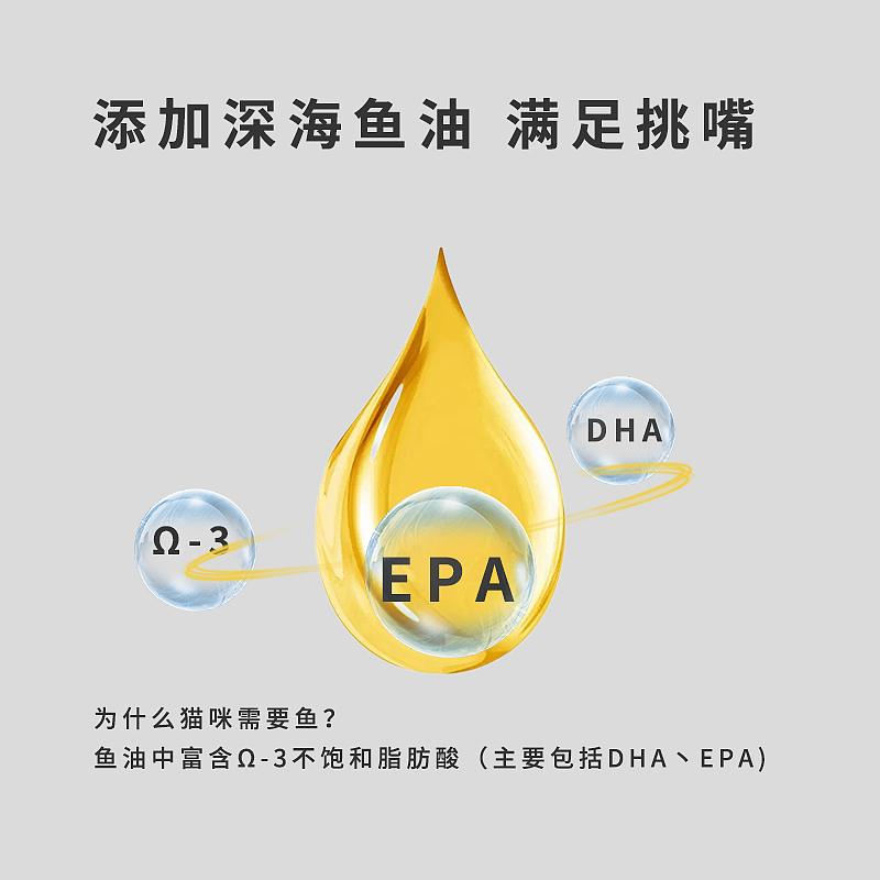 电商-美工--主图+直通车