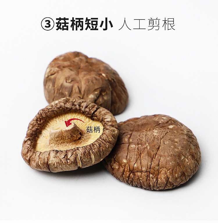 香菇详情页（图ZMzUzMzczMjg0） - 电商 - 站酷设计师Y一Fan小范儿原创素材 - 站酷ZCOOL