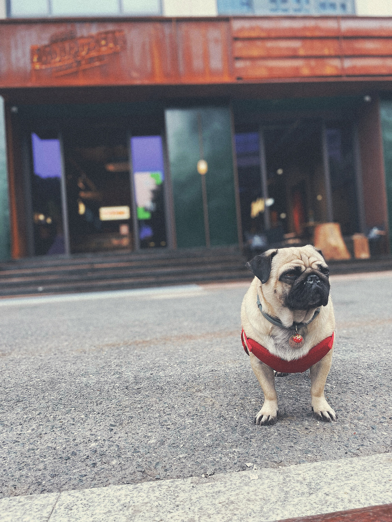 机车主题咖啡馆 - 极限豆