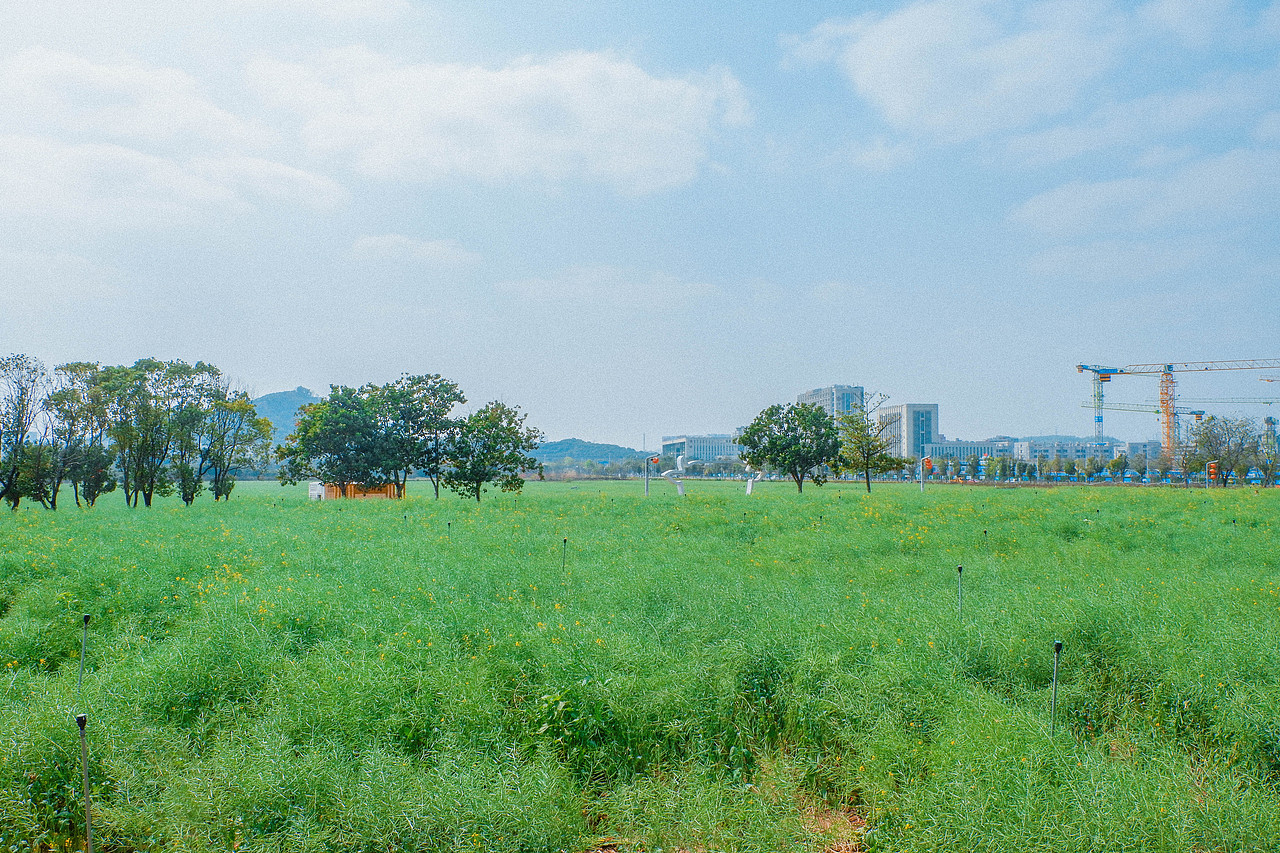 2月光明小镇欢乐田园半日游及外食(白玉串城)