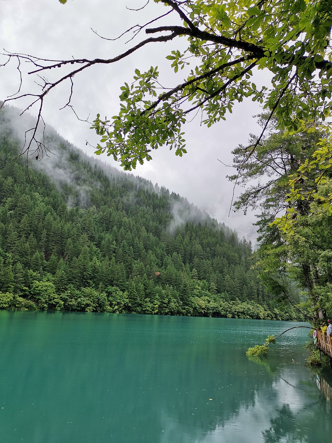 五彩缤纷九寨沟(下)