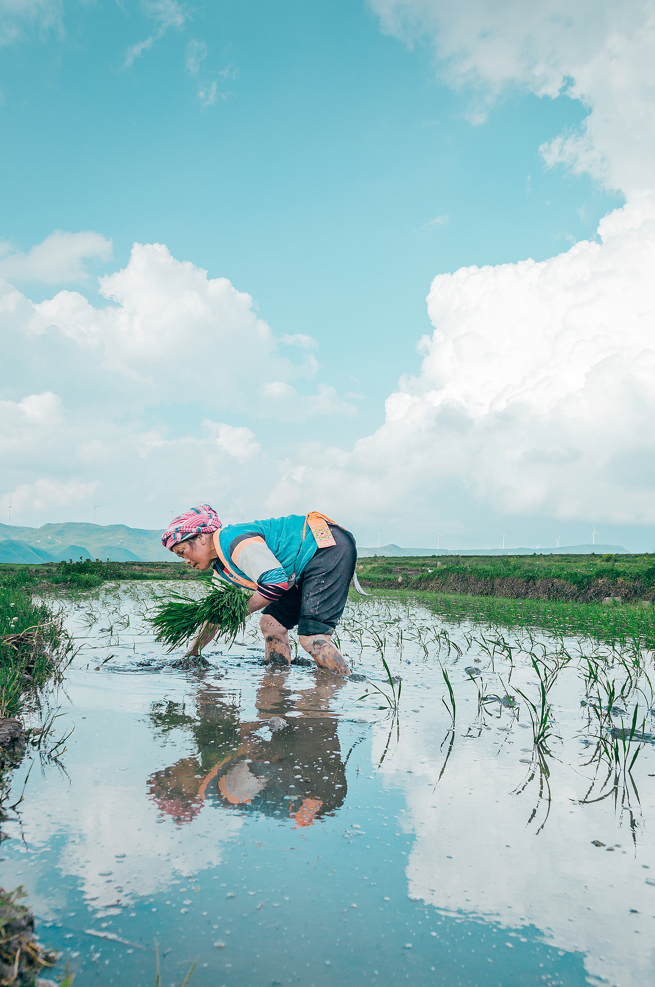 插秧季（图ZMzAzNDE4OTgw） - 人文/纪实摄影 - 站酷设计师是发条陈呀原创素材 - 站酷ZCOOL