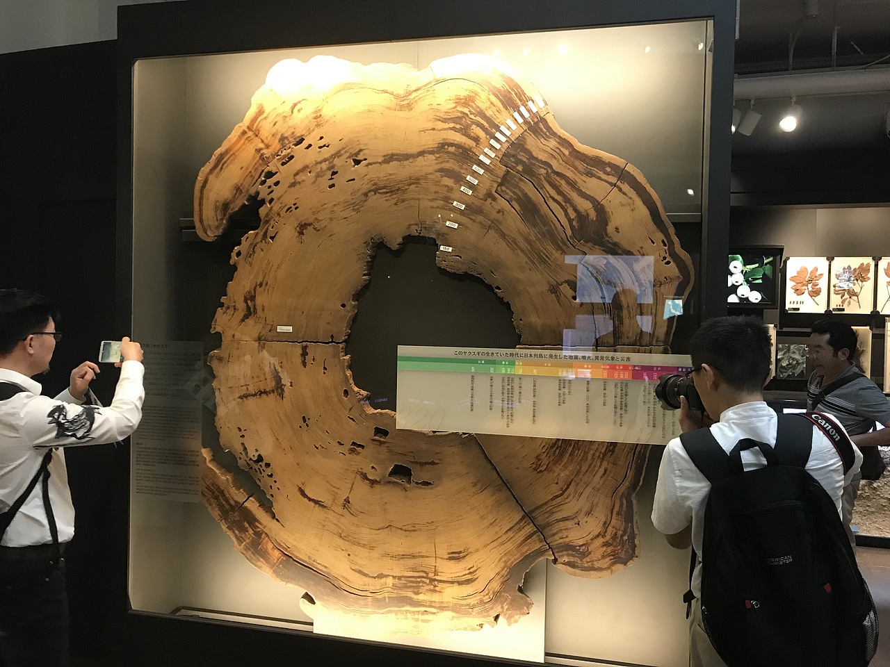 东京国立科学博物馆（图ZMzA5OTUxNjI4） - 展陈设计 - 站酷设计师JIANG2015原创素材 - 站酷ZCOOL