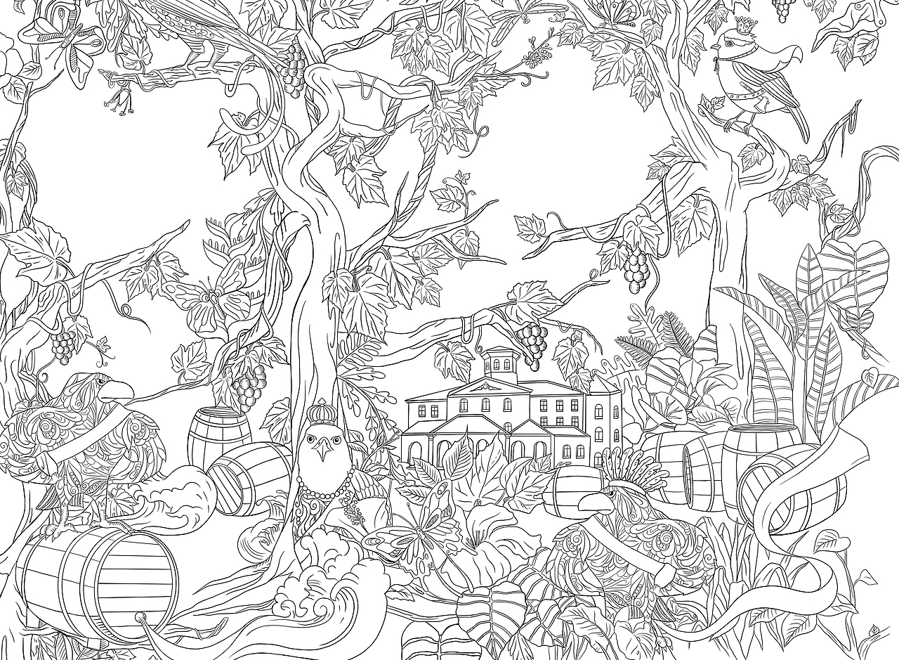 老鹰之歌红酒包装