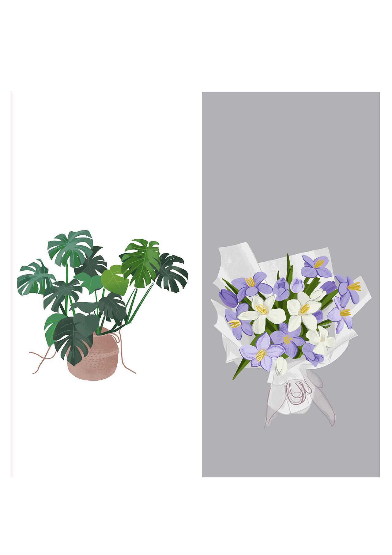 植物系列（图ZMzIzNzgxNjky） - 绘本 - 站酷设计师Su生原创素材 - 站酷ZCOOL