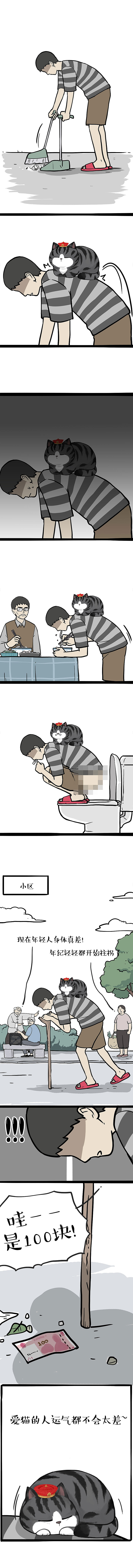 养猫,养狗,养儿,养哪个最好?