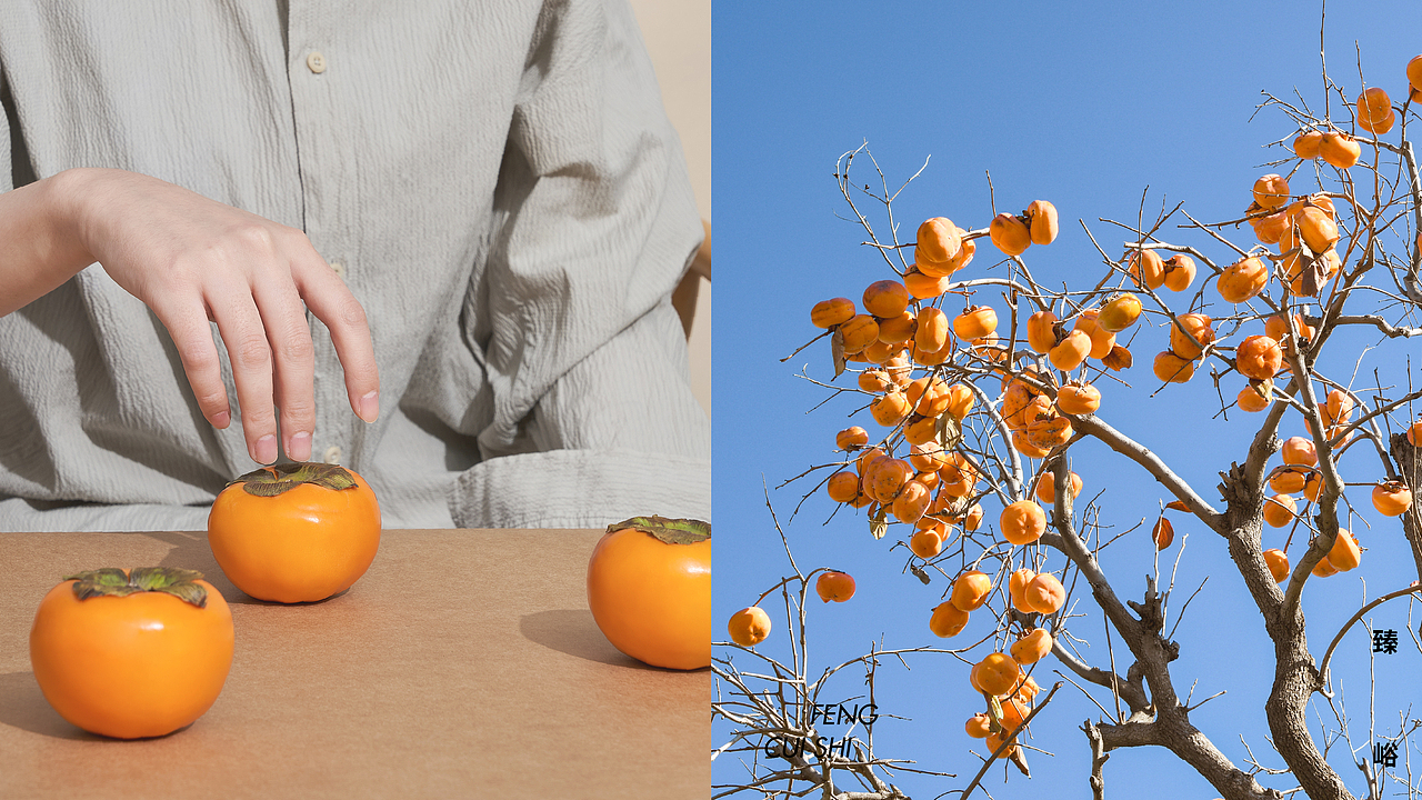 田里优选 × 3721设计｜臻峪阳丰脆柿包装设计（图ZMzI2OTk4MDU2） - 包装 - 站酷设计师3721品牌设计原创素材 - 站酷ZCOOL