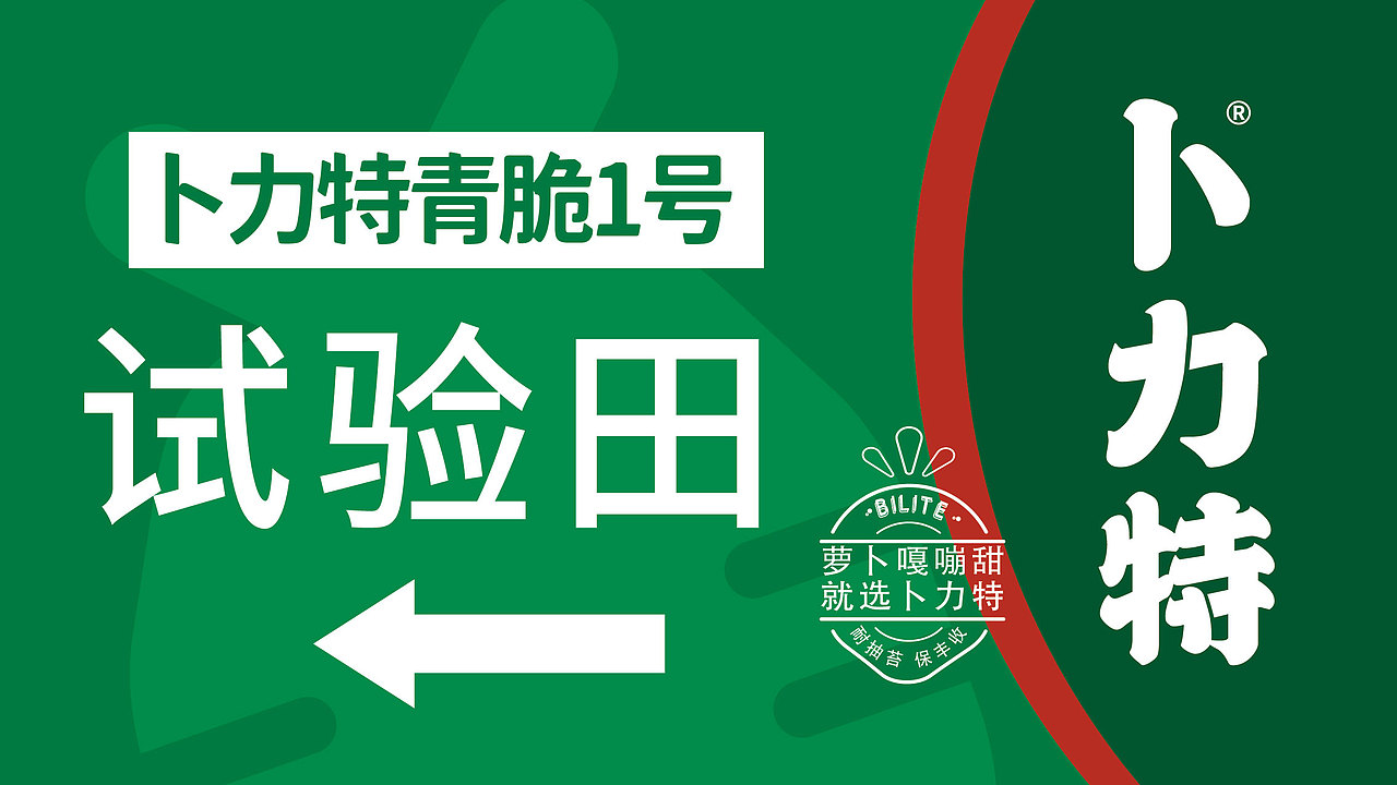 农业品牌全案设计|卜力特“春天种萝卜，就选卜力特”（图ZMzQxNjI4NjYw） - 品牌 - 站酷设计师象造文创原创素材 - 站酷ZCOOL