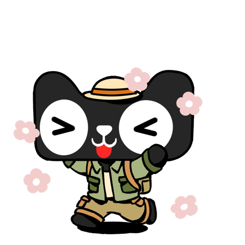 2023,被这只全网最吸金的猫帅到了