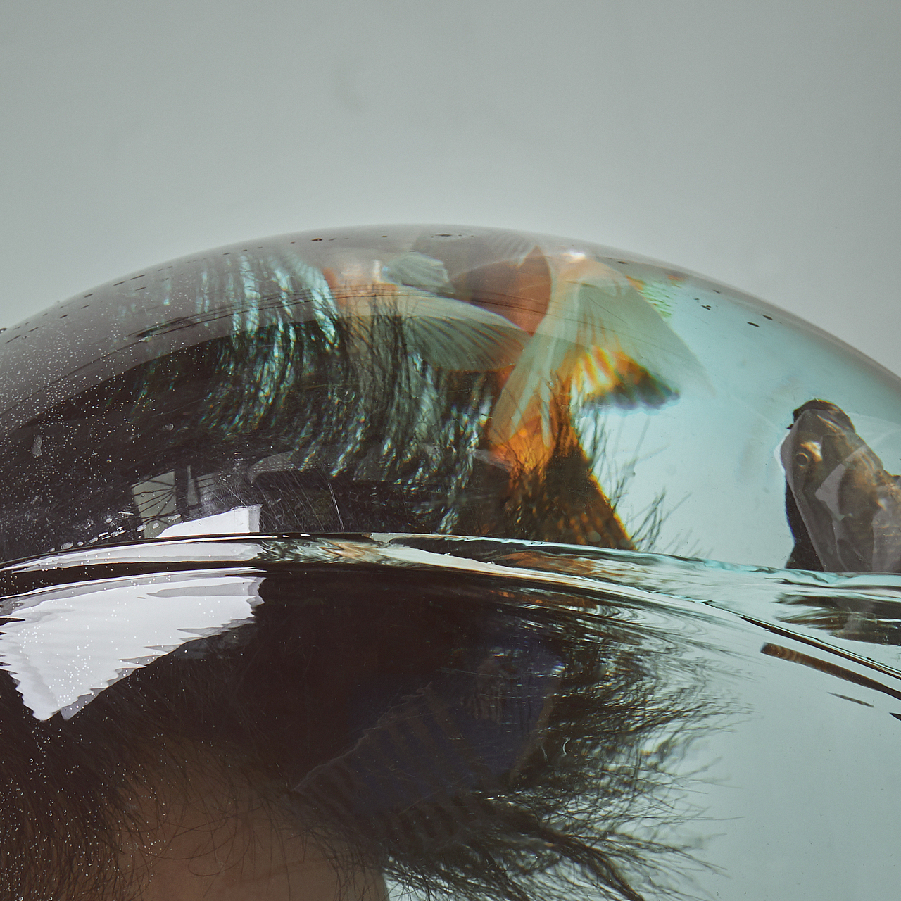 自拍 | 人与鱼的对话