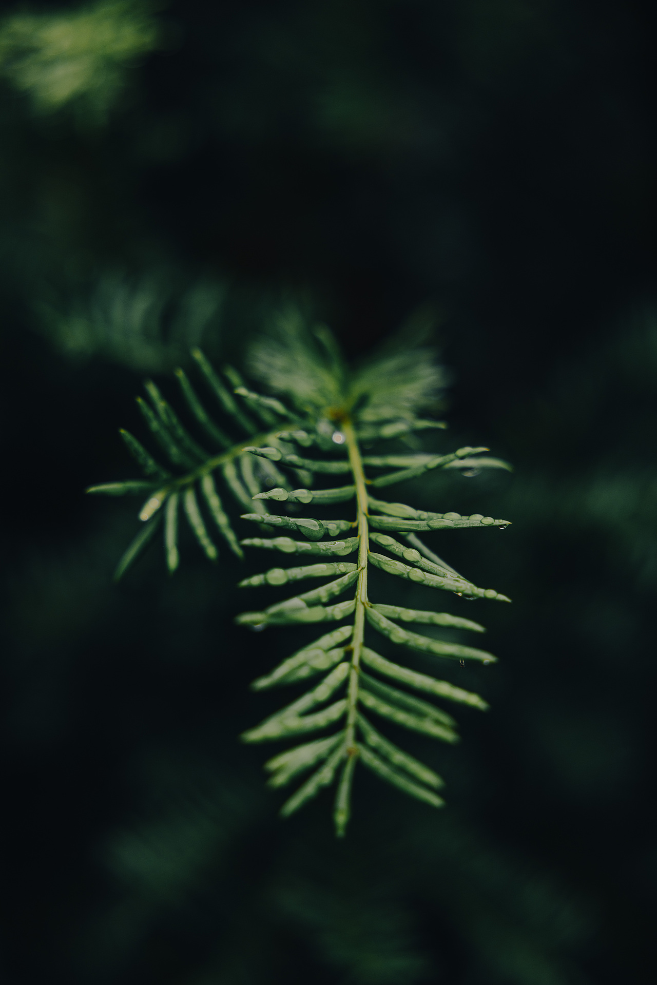 禅那民宿（图ZMzU1Mjk5NDc2） - 产品摄影 - 站酷设计师黑人不黑原创素材 - 站酷ZCOOL