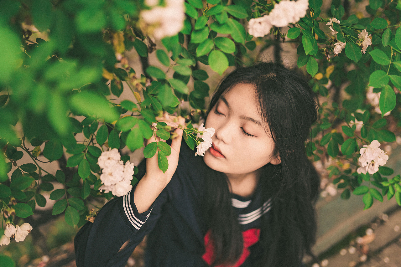 蔷薇花开（图ZMzQzMjQxODYw） - 人像摄影 - 站酷设计师鹅黄毛球原创素材 - 站酷ZCOOL