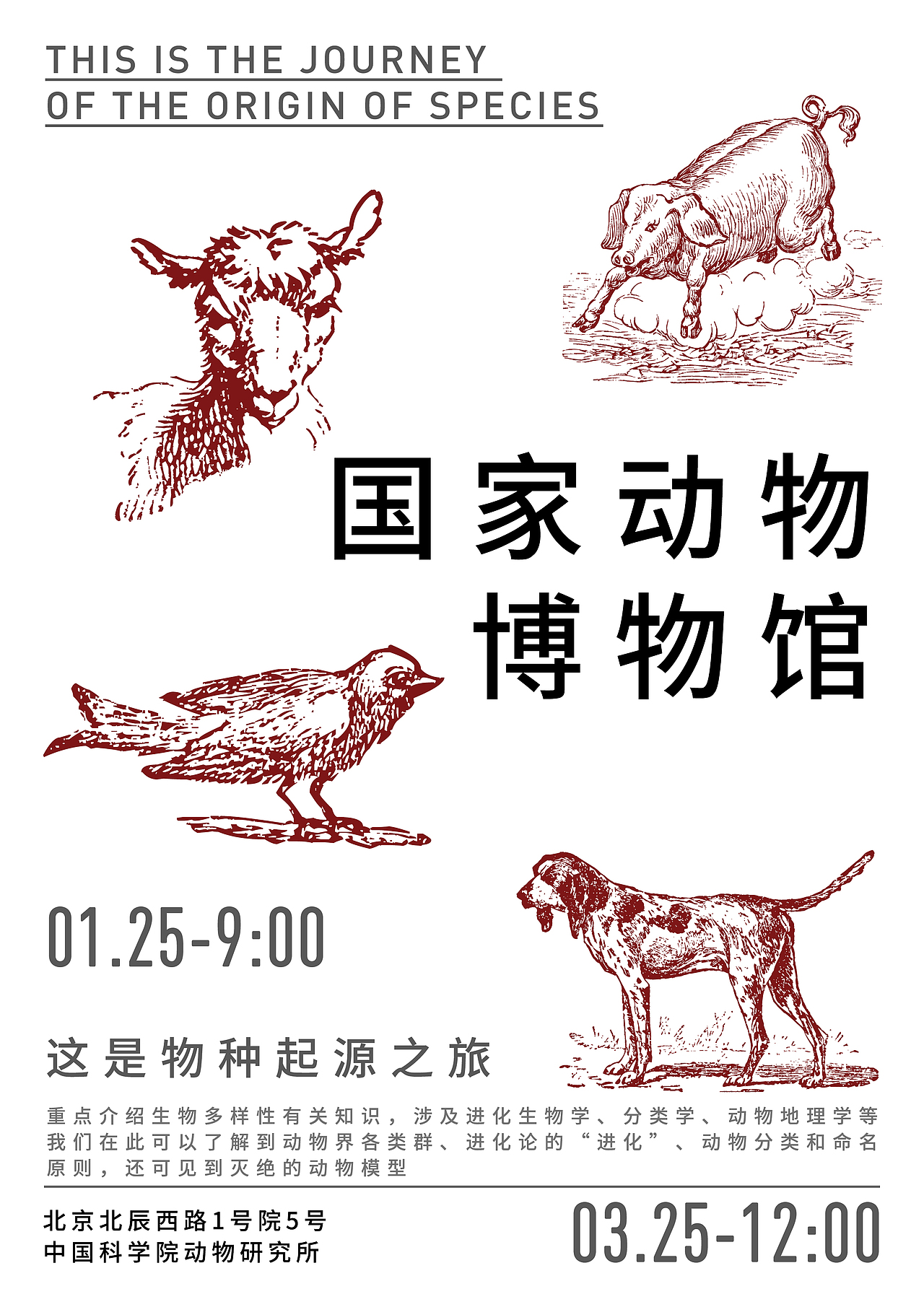 练习（图ZMzI4MzQ0NDE2） - 海报 - 站酷设计师Clare土豆原创素材 - 站酷ZCOOL