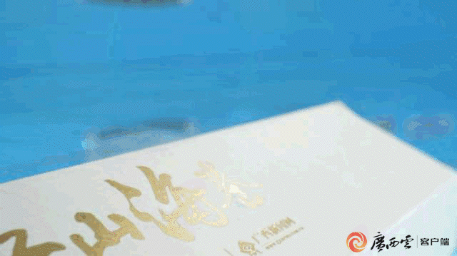 广西日报 | 东盟博览会《丝路山海卷》插画长卷（图ZMzUzNjMxMTg4） - 商业插画 - 站酷设计师嘿阿然原创素材 - 站酷ZCOOL