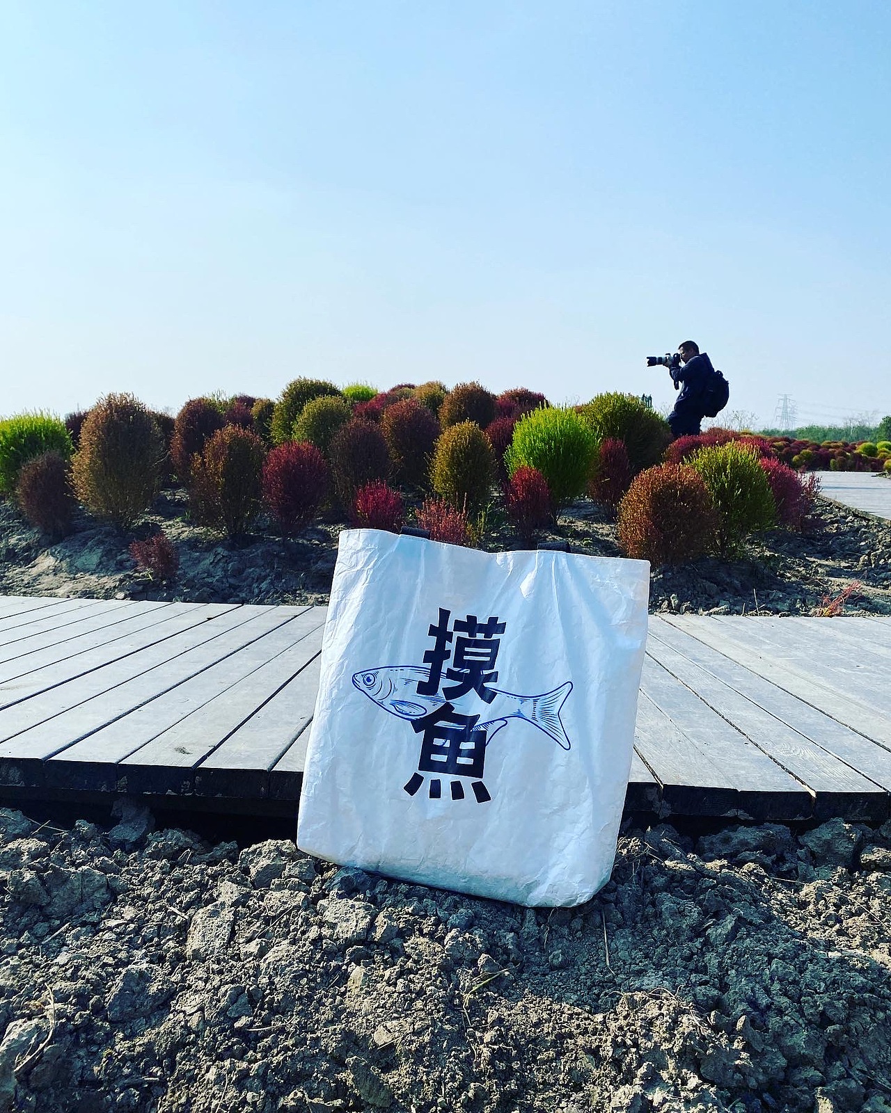 字体设计帆布袋（图ZMzAyNzU4MjY0） - 字体/字形 - 站酷设计师WILDFIRE_D原创素材 - 站酷ZCOOL
