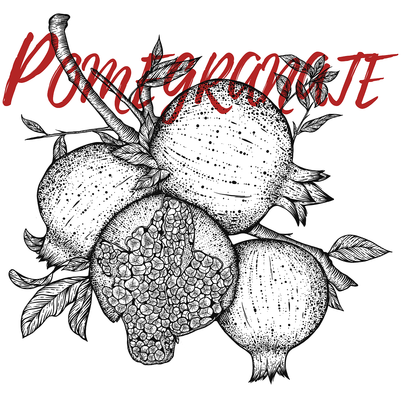 FRUIT-水果版画包装设计（图ZMzE0OTM3MzQ0） - 商业插画 - 站酷设计师阿凉ACOOL原创素材 - 站酷ZCOOL