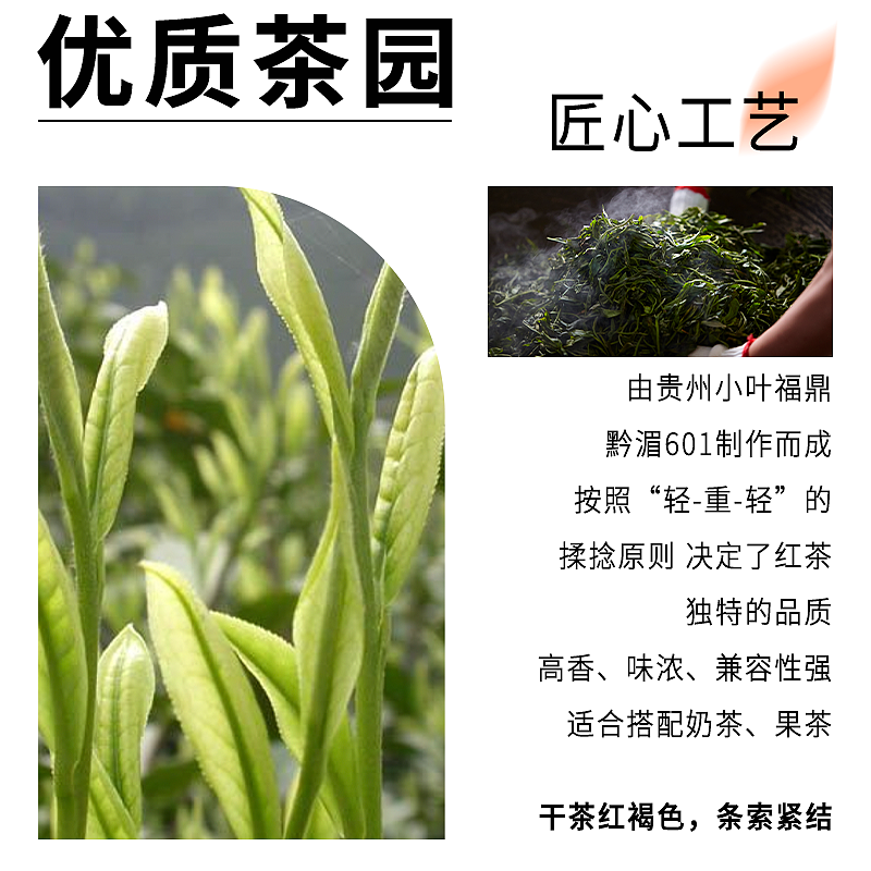 2023食品电商主图展示