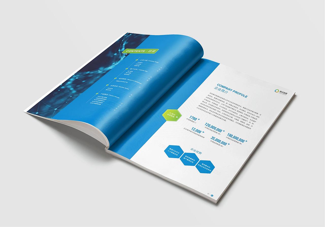 环保画册I画册设计宣传画册I企业宣传册I艺之光设计