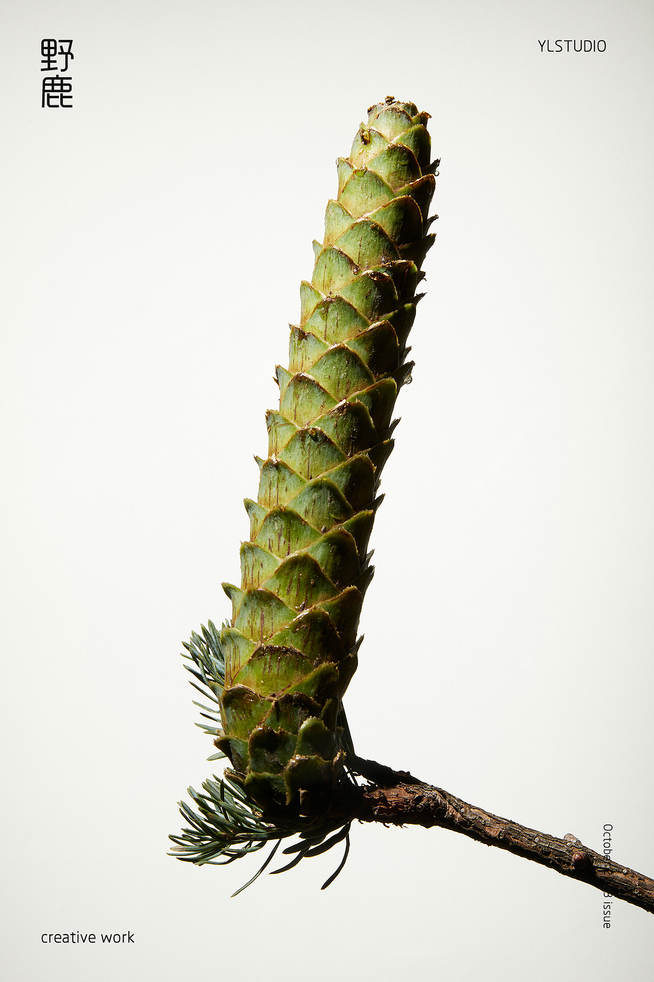 气味 | 10月刊（图ZMzUxODY0ODE2） - 产品摄影 - 站酷设计师野鹿摄影原创素材 - 站酷ZCOOL