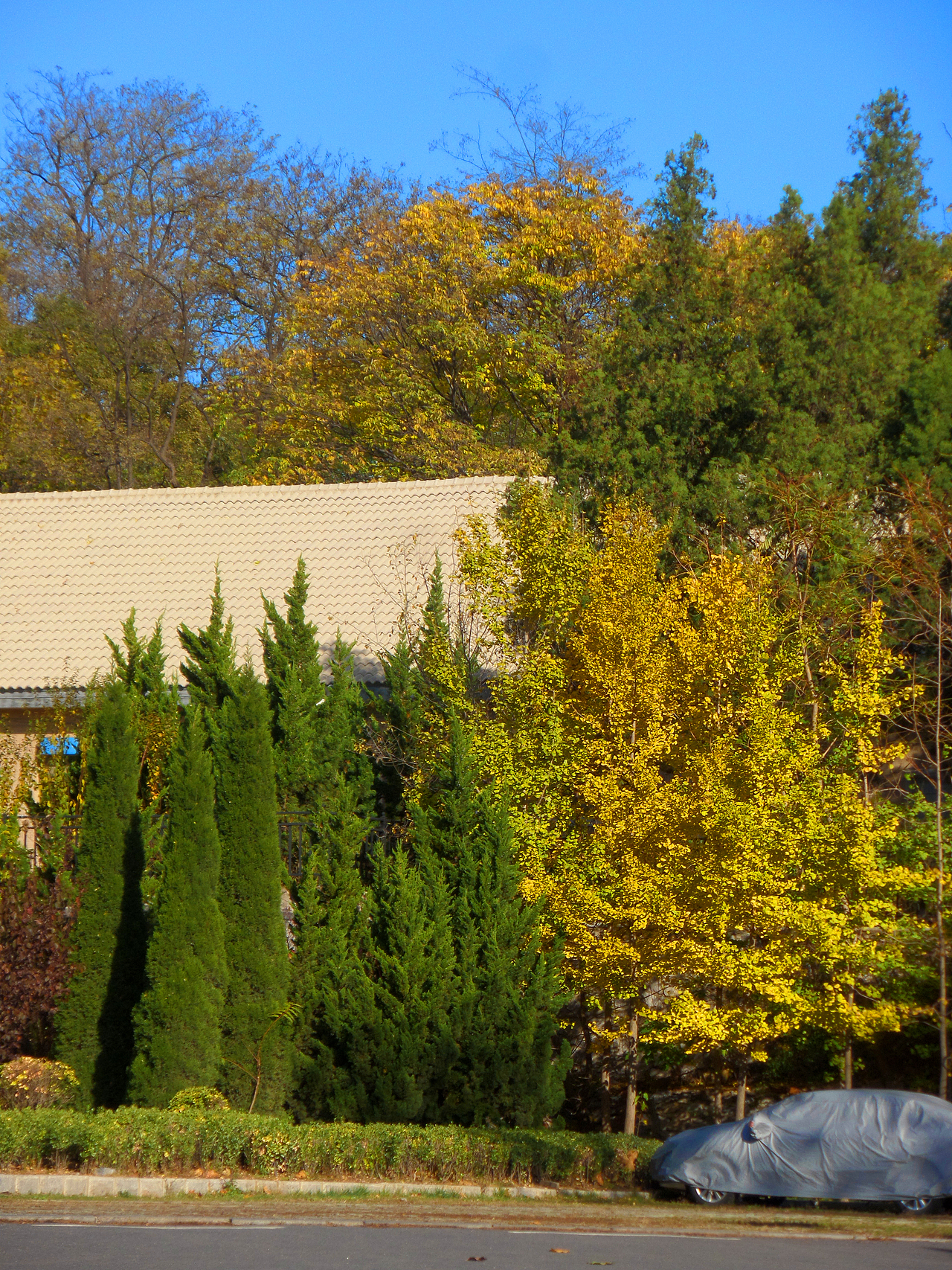 个人摄影作品集